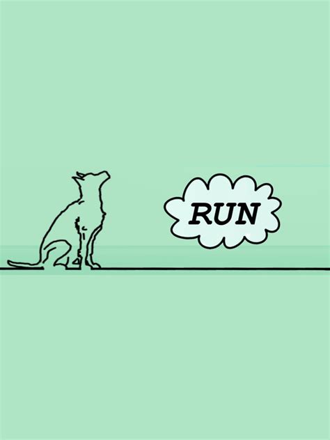 The Dog Run | Stash - Games tracker