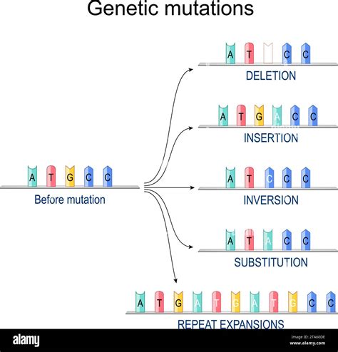 Insertion mutation Stock Vector Images - Alamy