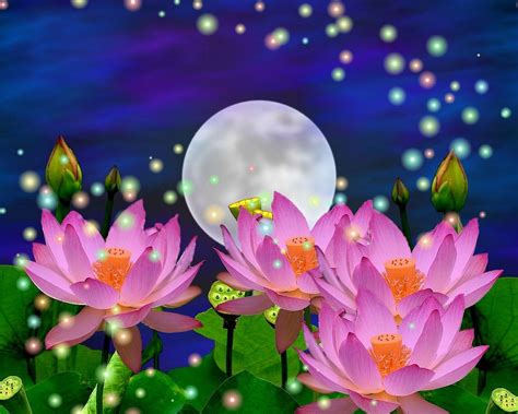 Flowers and Moon Wallpapers - Top Free Flowers and Moon Backgrounds - WallpaperAccess