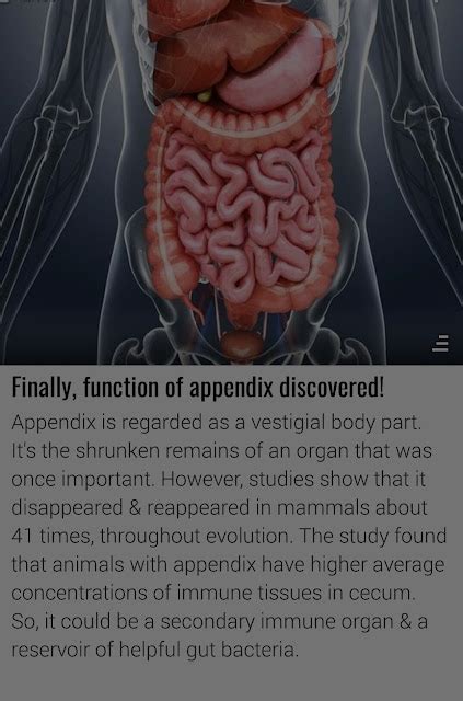 Function of appendix - Short News Web