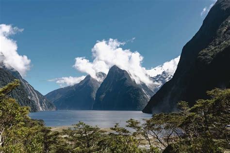 12 BEST Hikes in Milford Sound + My Top Tips! - My Queenstown Diary