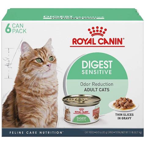 The 5 Best Cat Foods for Sensitive Stomachs in 2023 | PawGearLab