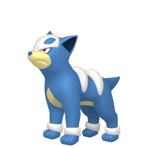 Houndour (Pokémon GO): Best Movesets, Stats, Counters, Weaknesses