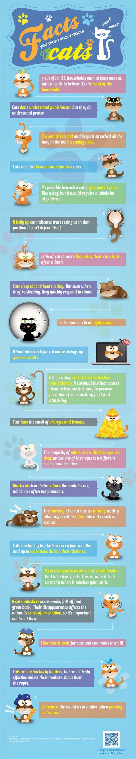 Facts About Cats - Infoingraph