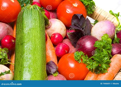 Beautiful Vegetables. Yield Stock Image - Image of celery, taste: 7446691