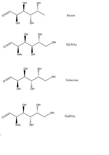 Solved Draw the full structure of the oligosaccharide | Chegg.com