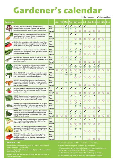 Arizona Vegetable Gardening Calendar