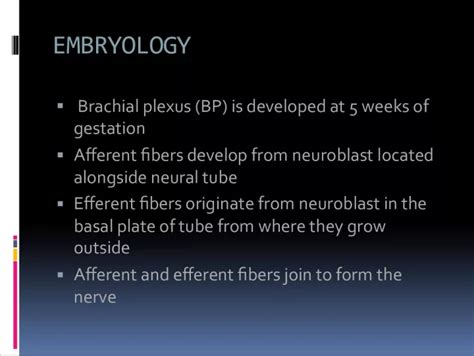 Development and Formation of Brachial Plexus in Embryology