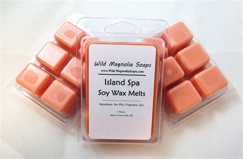 Soy Wax Melts Spa Escape Wax Melts Home & Living lifepharmafze.com