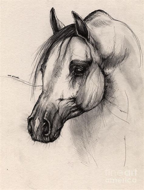 Realistic Horse Head Drawing at GetDrawings | Free download