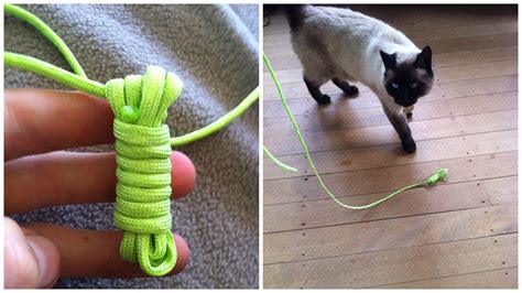 DIY Cat Toys You Can Make From Household Items | 1 Million Women