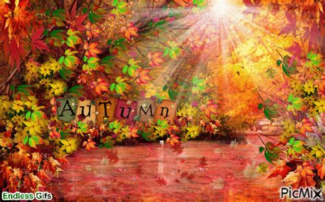 Colorful Autumn Leaves Gif Pictures, Photos, and Images for Facebook, Tumblr, Pinterest, and Twitter