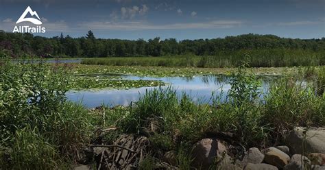 10 Best Hikes and Trails in Chippewa National Forest | AllTrails