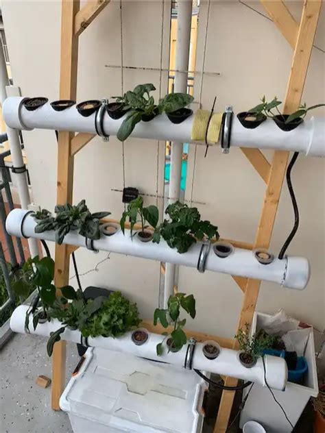 How Hydroponics can be done - DIY Guide to your NFT System - Tago