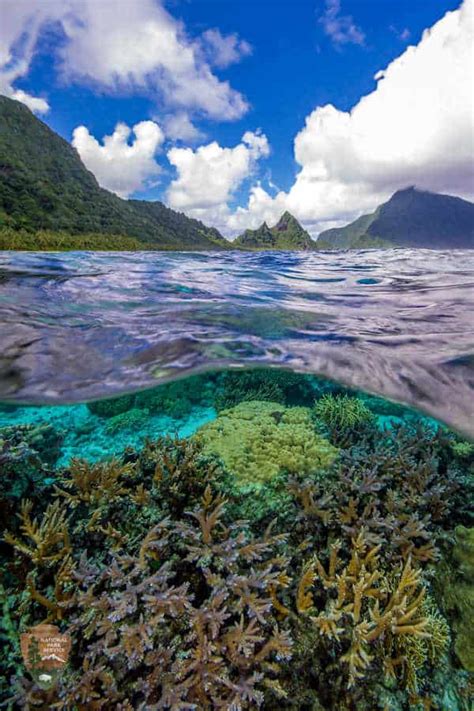 National Park of American Samoa | Park Ranger John