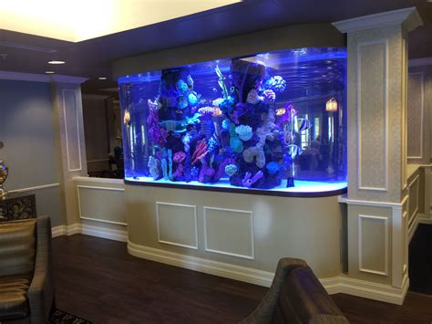 1200 Gallon Race Track with Faux Reef - Aquarium Maintenance Las Vegas ...