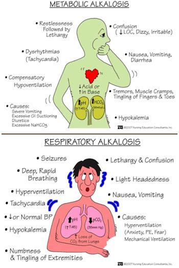 Metabolic and Respiratory Alkalosis | Nursing mnemonics, Nursing school ...