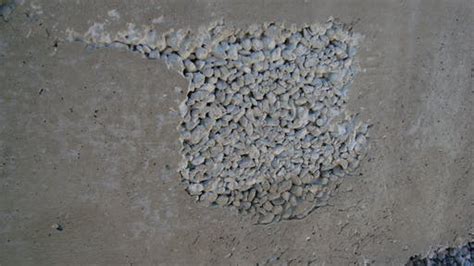 Honeycombs in Concrete - Structural Guide