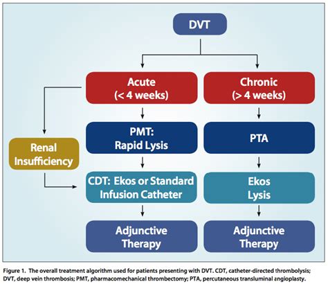 Endovascular Today - A Treatment Algorithm for DVT (July 2014)