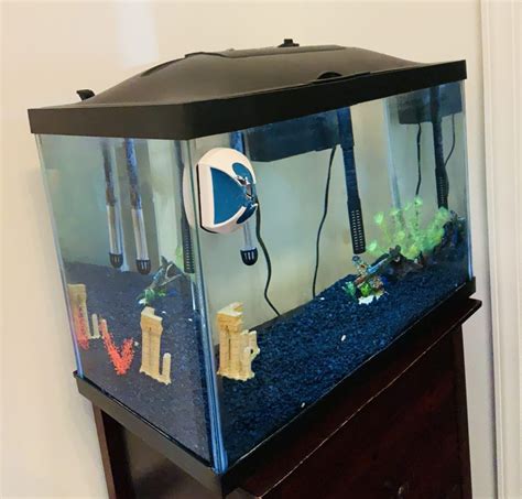 10 gallon fish tank cover - conceptglop