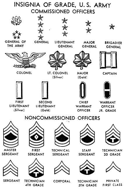 aedan janelle: Army officer rank insignia