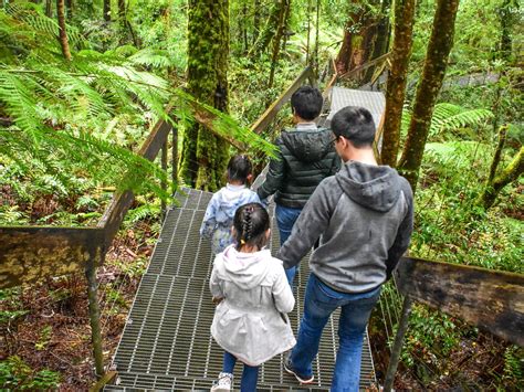 Yarra Ranges National Park, Attraction, Yarra Valley & Dandenong Ranges, Victoria, Australia