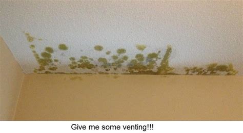 Ceiling Mold May Come from the Inside | Why Venting is a must