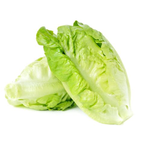 Baby Romaine Lettuce – Veggies.my