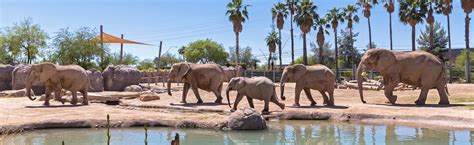 Southern Arizona’s Best Value! | Reid Park Zoo