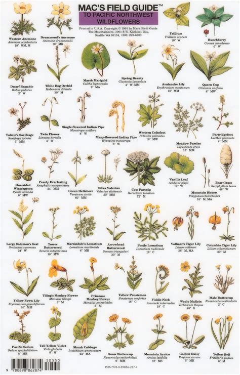 Mac's Field Guide to Pacific Northwest Wildflowers: DiscoverNW.org