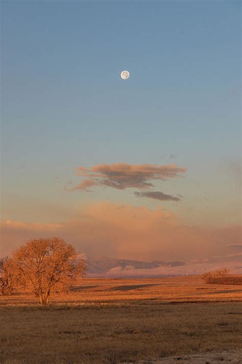 Portrait of a Setting Moon at Sunrise Photograph by Tony Hake - Fine Art America