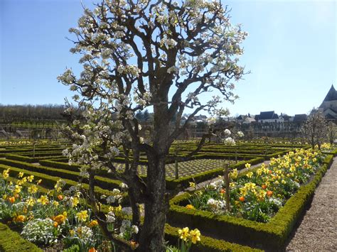 Experience Loire | Loire Valley France tourism: Spring at Chateau ...