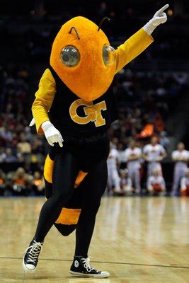 Georgia Tech Yellow Jackets Football Season Preview | Bleacher Report