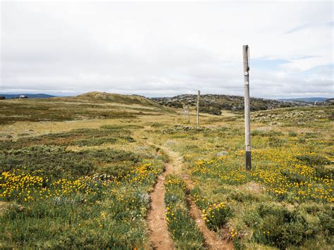 Day Hike at Hotham: Mt Hotham Huts Walk - Beyond Wild Places