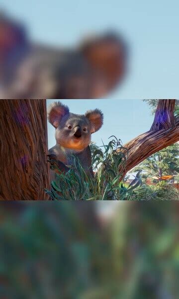 Buy Planet Zoo: Australia Pack (PC) - Steam Gift - JAPAN - Cheap - G2A.COM!