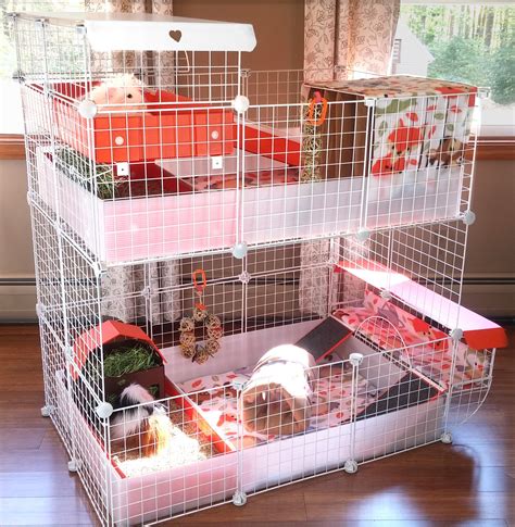 Stacked Guinea Pig Cages