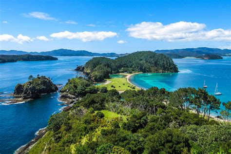 Bay of Islands Tour: Swim with Dolphins in New Zealand