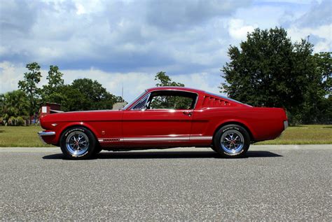 1966 Ford Mustang | American Muscle CarZ