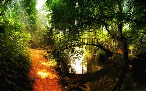 nature, Landscape, Bridge, Path, Trees, River, Plants Wallpapers HD / Desktop and Mobile Backgrounds