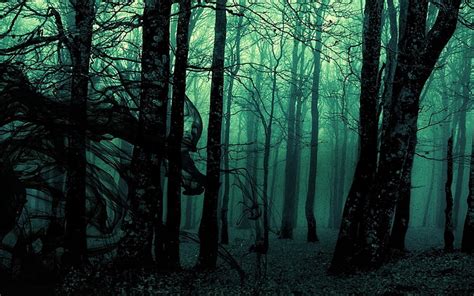 Online crop | HD wallpaper: Dark, forest, Gloomy, landscape, nature, Photo Manipulation ...