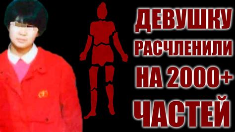 Китайский Чёрный Георгин. Дьяо Айцин (Diao Aiqing). Короткие истории на ночь. История №34 - YouTube