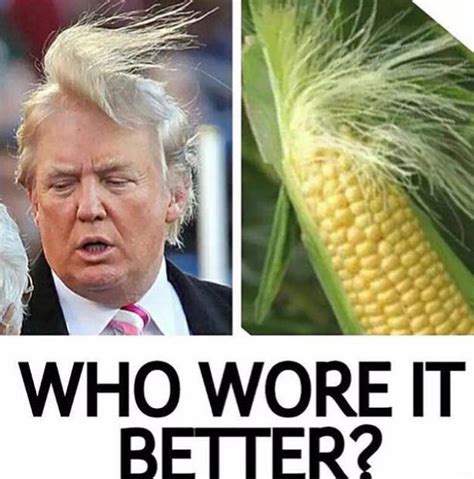 These Funny And Hilarious Donald Trump Memes Will Make You Go ROFL