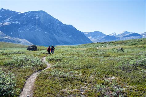 Interesting articles, facts and tips about Greenland - [Visit Greenland!]