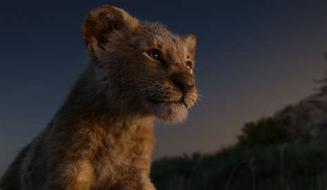 THE LION KING (2019) - A Review by John Strange | Selig Film News