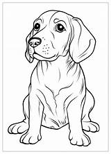 Beagle Coloring Pages  Free Printable Illustrations For Kids sketch template