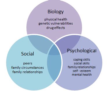 Levels Of Analysis Psychology