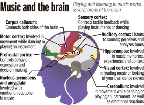 Your Brain on Music: Effects of Music Therapy on Different Functions of ...