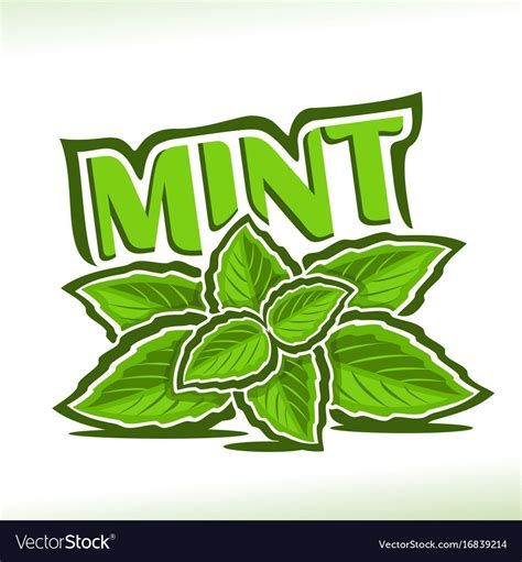 Mint herb Royalty Free Vector Image - VectorStock | Vector free, Herb logo, Cocktails vector