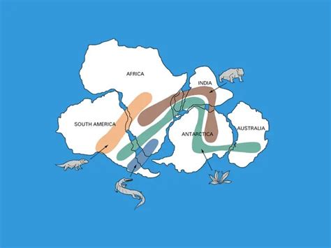 Pangea Fossils: Evidence of the Pangaea Supercontinent - Earth How