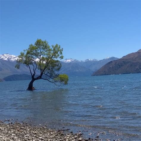 Lake Wanaka Beach, Wanaka - Beach in Wanaka